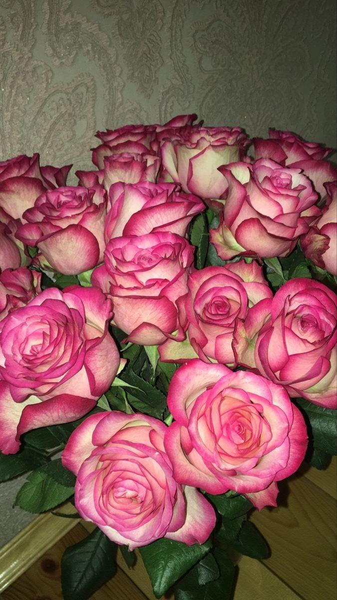 Sunset Melody in Floral Harmony